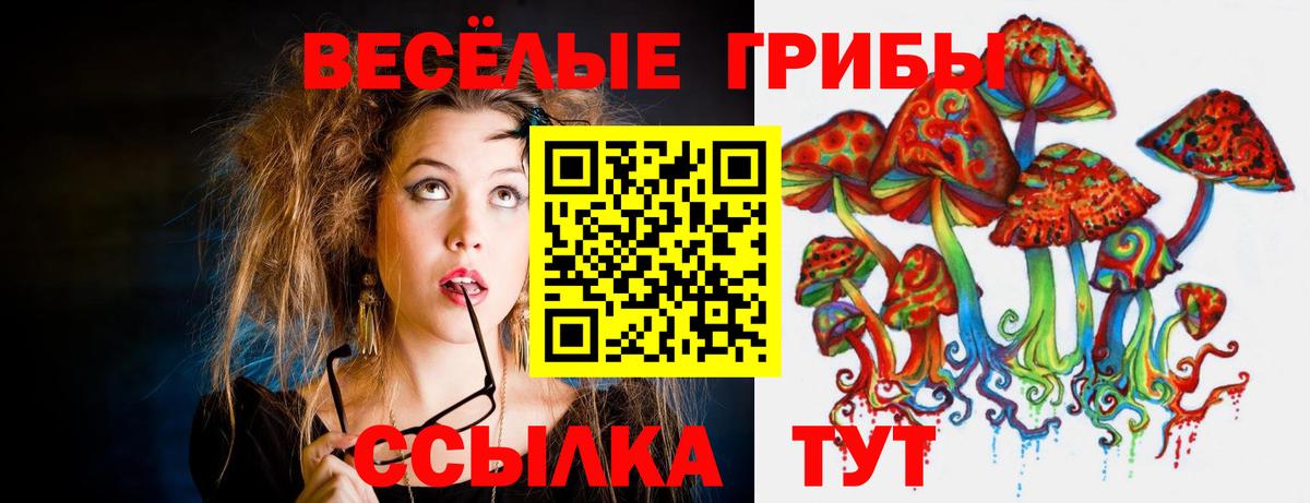 Мценск  Псилоцибиновые грибы Psilocybine cubensis  Вход с VPN  Галлюциногенные грибы MAGIC MUSHROOMS 